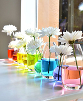 Rainbow-Water-Centerpiece.jpg